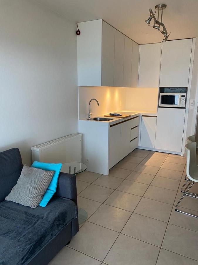 Appartement Zeezicht Ostende Kültér fotó